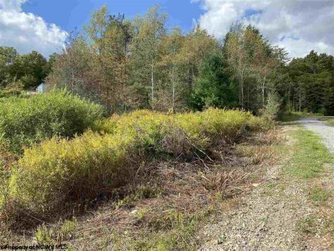47 Mountain View Drive Davis WV 26260