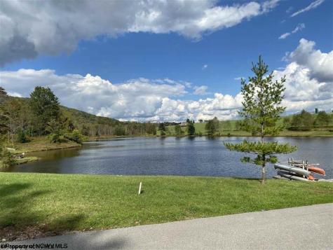 47 Mountain View Drive Davis WV 26260