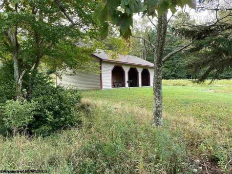 47 Mountain View Drive Davis WV 26260