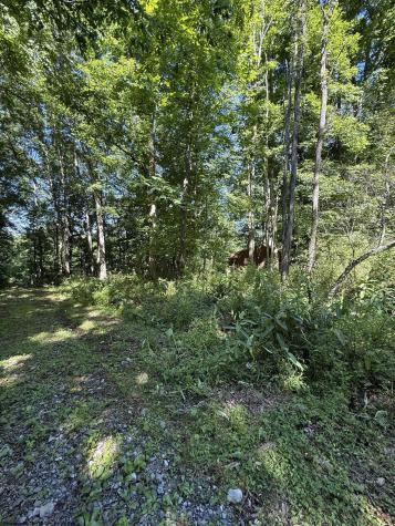 0 Suds Run Road Mount Clare WV 26408