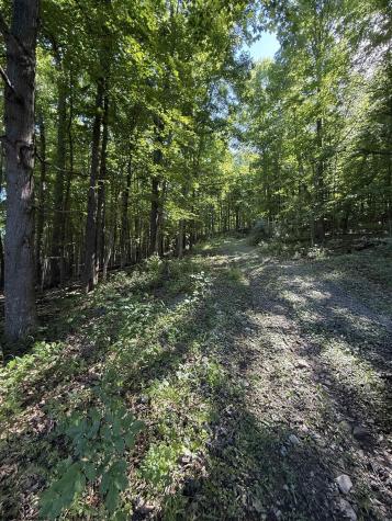 0 Suds Run Road Mount Clare WV 26408