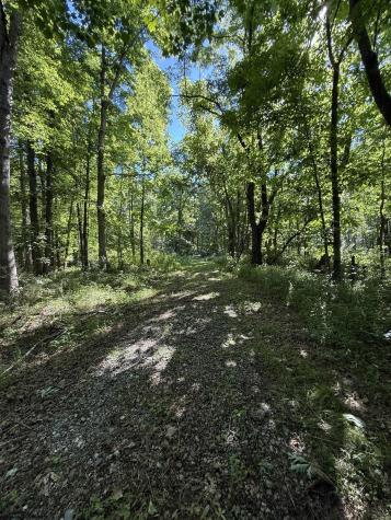 0 Suds Run Road Mount Clare WV 26408