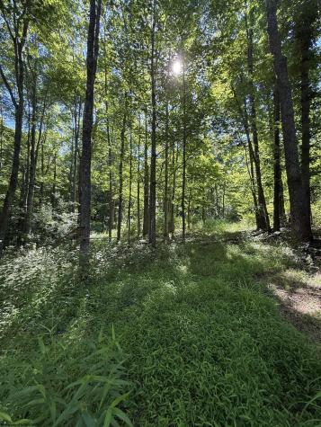 0 Suds Run Road Mount Clare WV 26408
