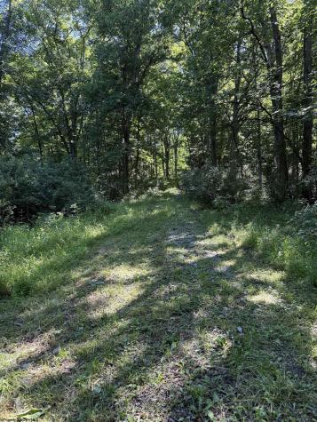 0 Suds Run Road Mount Clare WV 26408