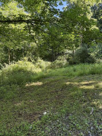 0 Suds Run Road Mount Clare WV 26408