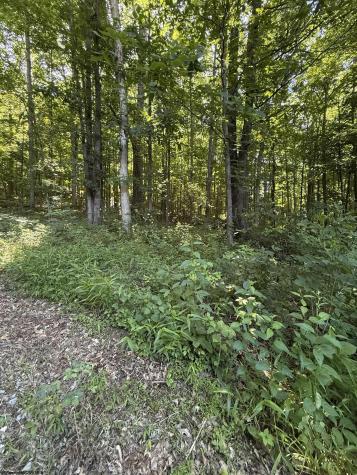 0 Suds Run Road Mount Clare WV 26408