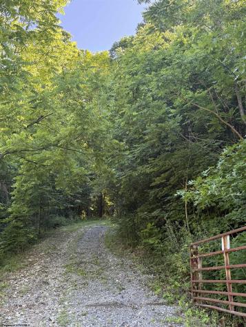 0 Suds Run Road Mount Clare WV 26408