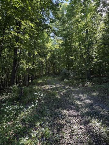 0 Suds Run Road Mount Clare WV 26408