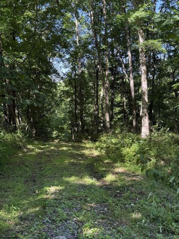 0 Suds Run Road Mount Clare WV 26408