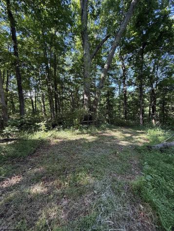 0 Suds Run Road Mount Clare WV 26408
