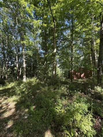 0 Suds Run Road Mount Clare WV 26408