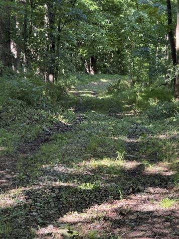 0 Suds Run Road Mount Clare WV 26408
