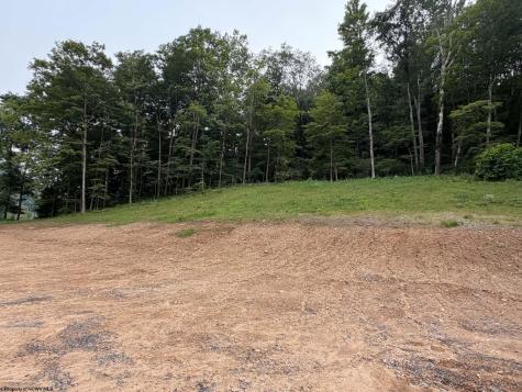 0 Pharis Road Belington WV 26250