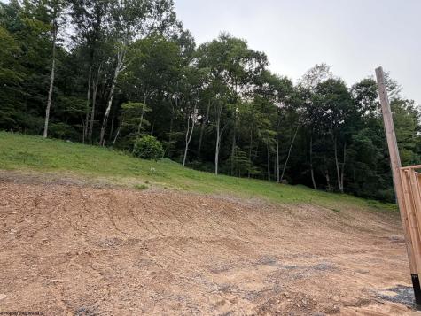 0 Pharis Road Belington WV 26250