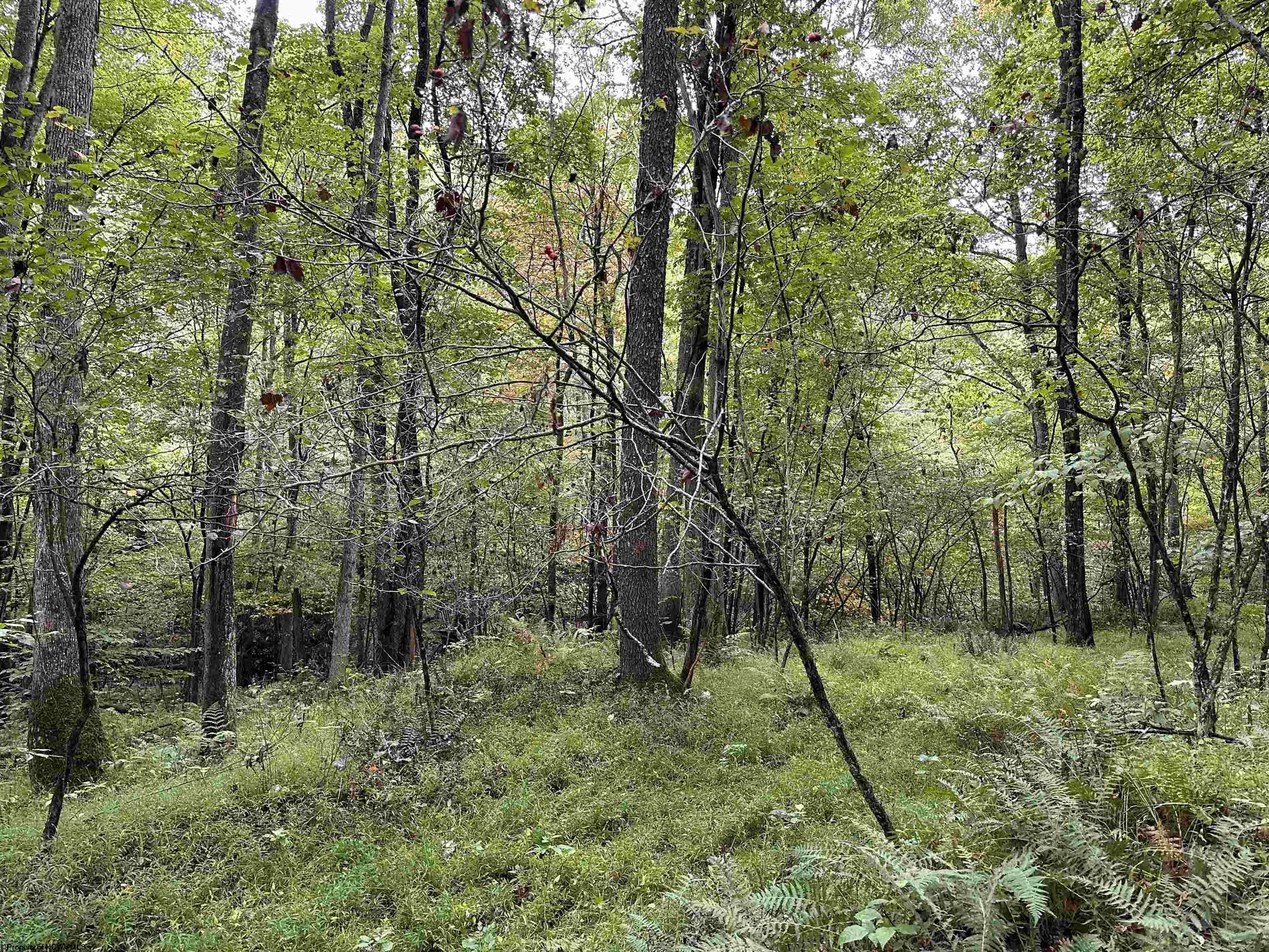 7 Deckers Trail Road Masontown WV 26542