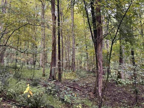 7 Deckers Trail Road Masontown WV 26542