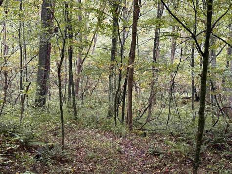 7 Deckers Trail Road Masontown WV 26542