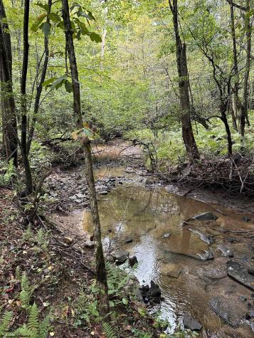 7 Deckers Trail Road Masontown WV 26542