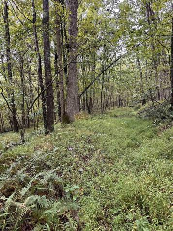 7 Deckers Trail Road Masontown WV 26542