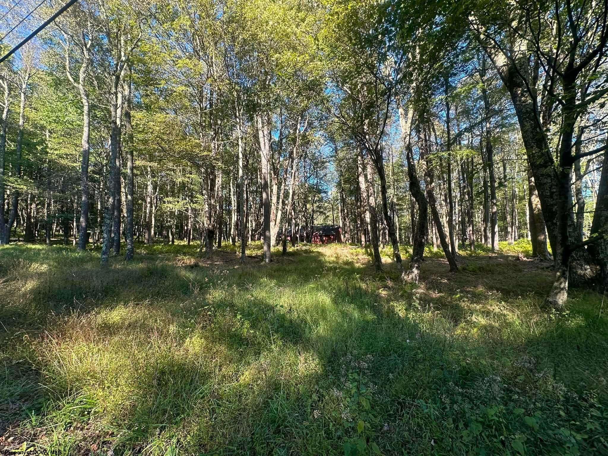 21 Alpine Drive Terra Alta WV 26764
