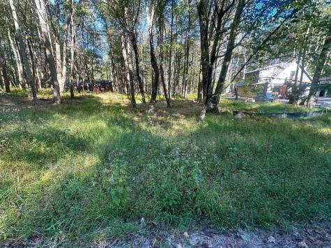 21 Alpine Drive Terra Alta WV 26764