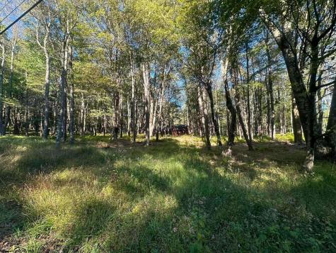 21 Alpine Drive Terra Alta WV 26764