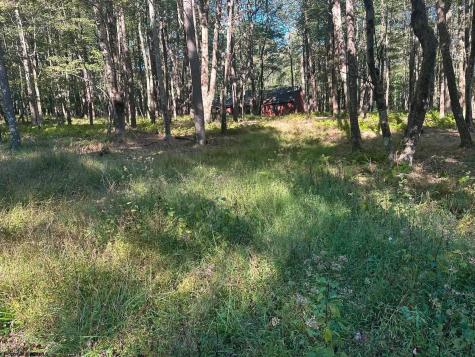 21 Alpine Drive Terra Alta WV 26764