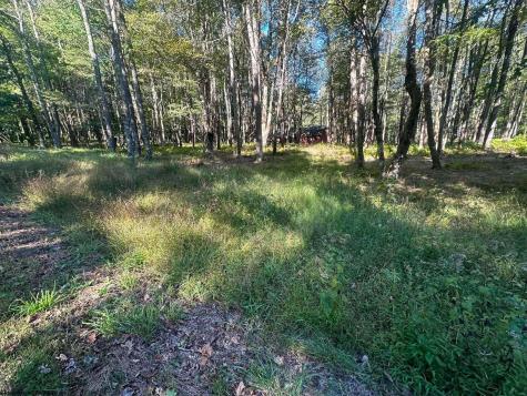 21 Alpine Drive Terra Alta WV 26764