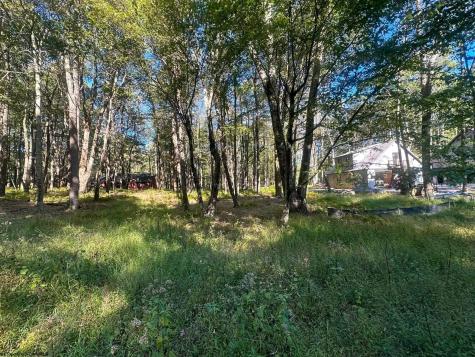 21 Alpine Drive Terra Alta WV 26764