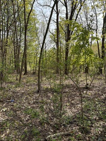 0 Sand Bank Road Masontown WV 26542