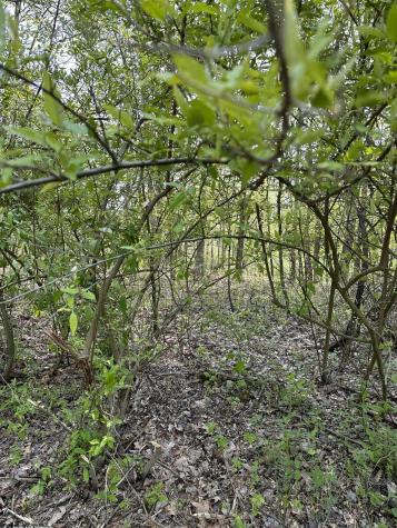 0 Sand Bank Road Masontown WV 26542