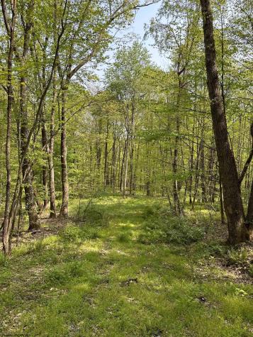 0 Sand Bank Road Masontown WV 26542