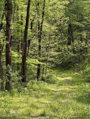 0 Sand Bank Road Masontown WV 26542