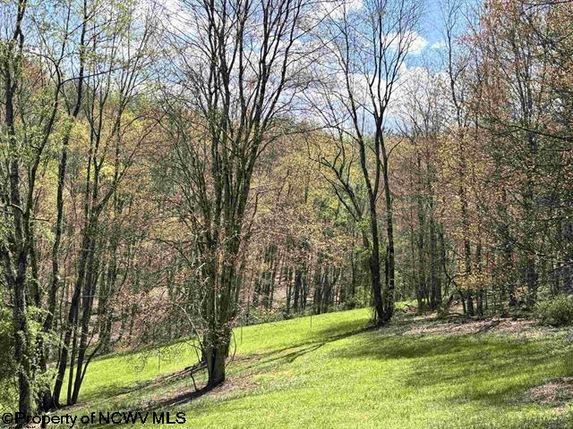 0 Porterfield Road Philippi WV 26416