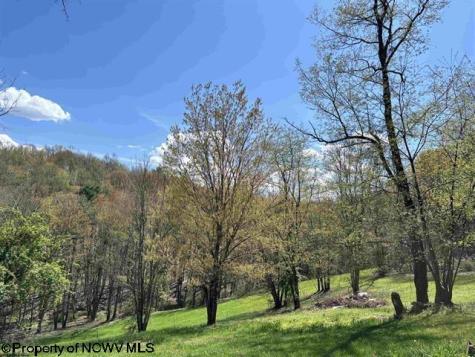 0 Porterfield Road Philippi WV 26416