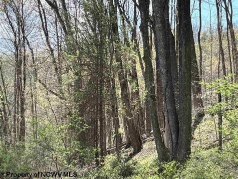 0 Porterfield Road Philippi WV 26416