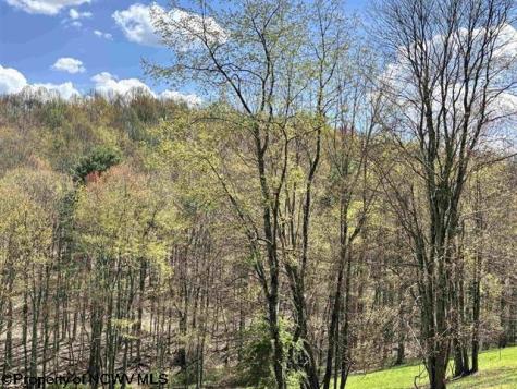 0 Porterfield Road Philippi WV 26416