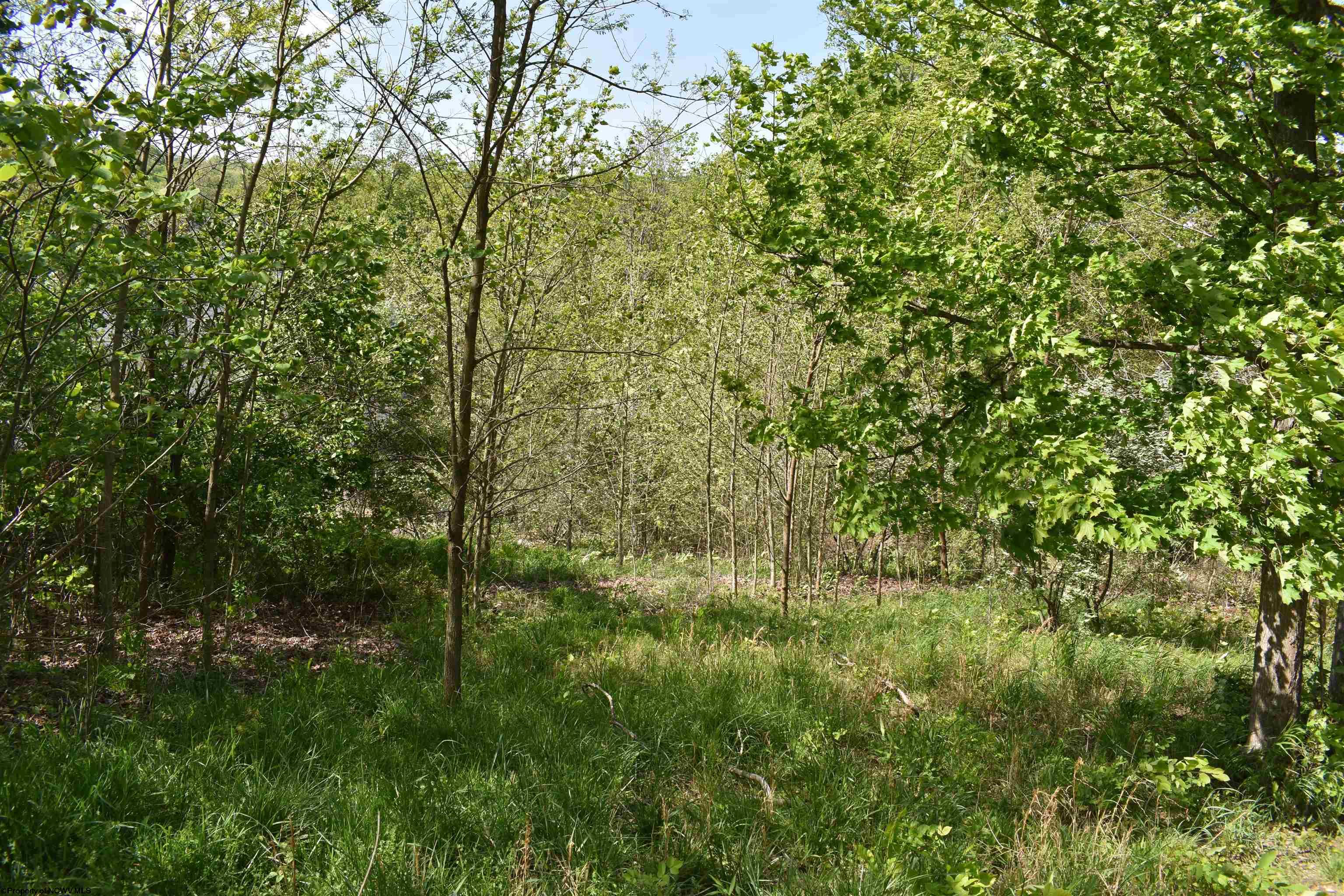 54 Sanctuary Cove Morgantown WV 26508
