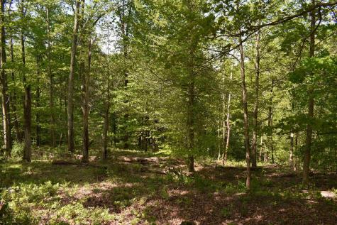 54 Sanctuary Cove Morgantown WV 26508