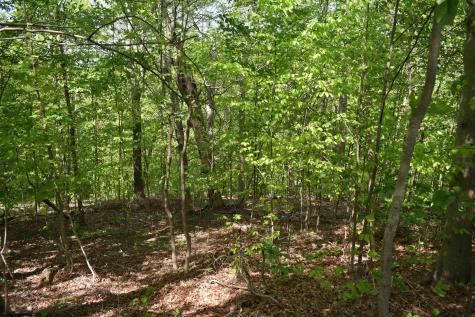 54 Sanctuary Cove Morgantown WV 26508