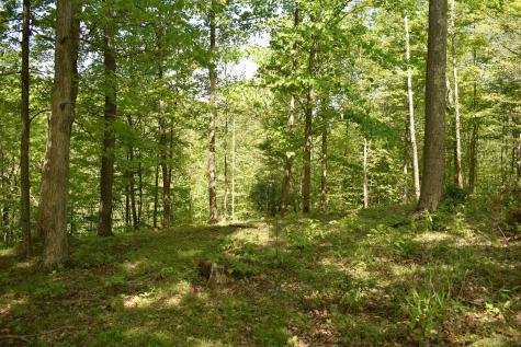 54 Sanctuary Cove Morgantown WV 26508