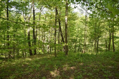 54 Sanctuary Cove Morgantown WV 26508