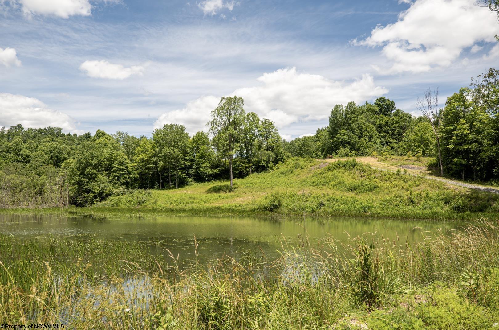 22 Lake Island Drive Belington WV 26250