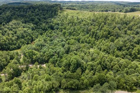 22 Lake Island Drive Belington WV 26250