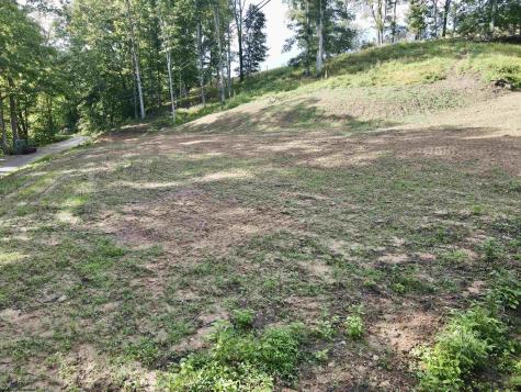 0 Mcchord Run Road Walkersville WV 26447