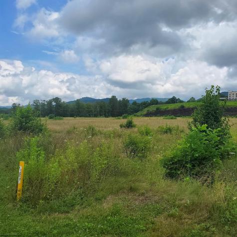 0 Plantation Drive Elkins WV 26241