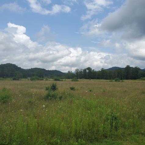 0 Plantation Drive Elkins WV 26241