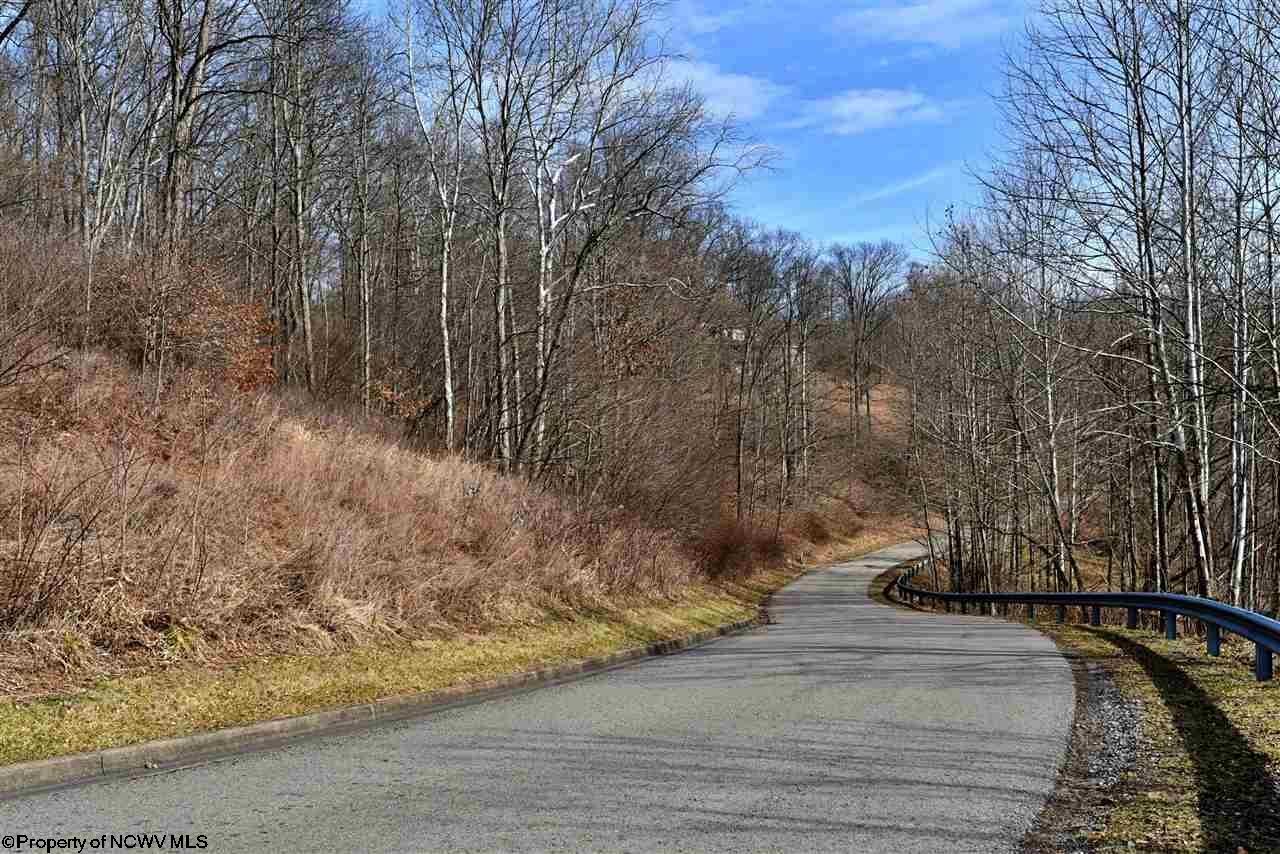 49 Skyview Drive Mount Clare WV 26408
