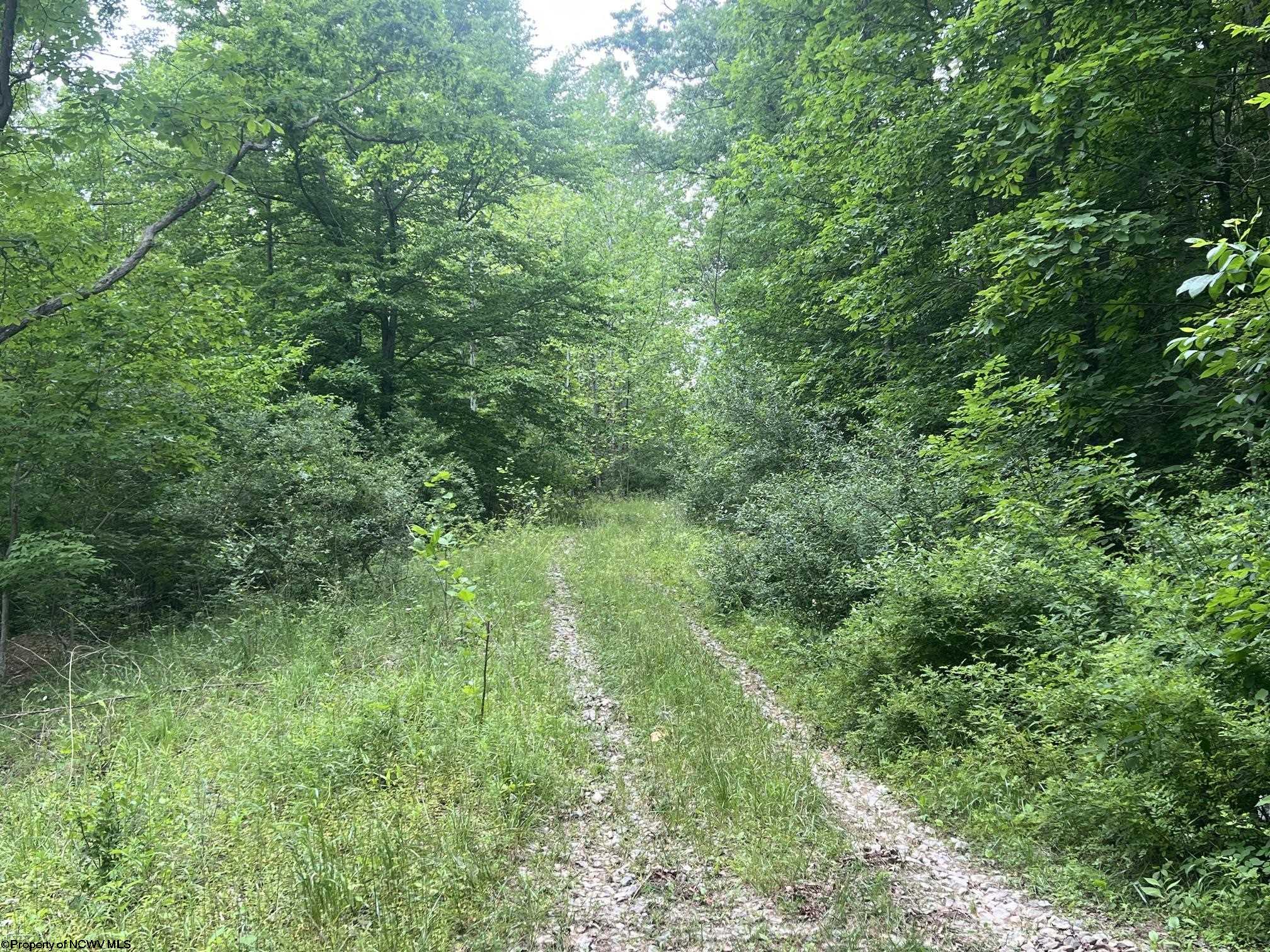 0 Keiths Fork Road Weston WV 26452
