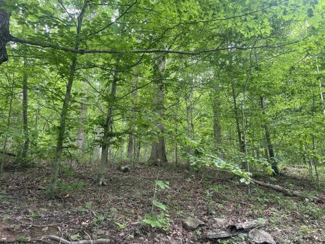 0 Keiths Fork Road Weston WV 26452